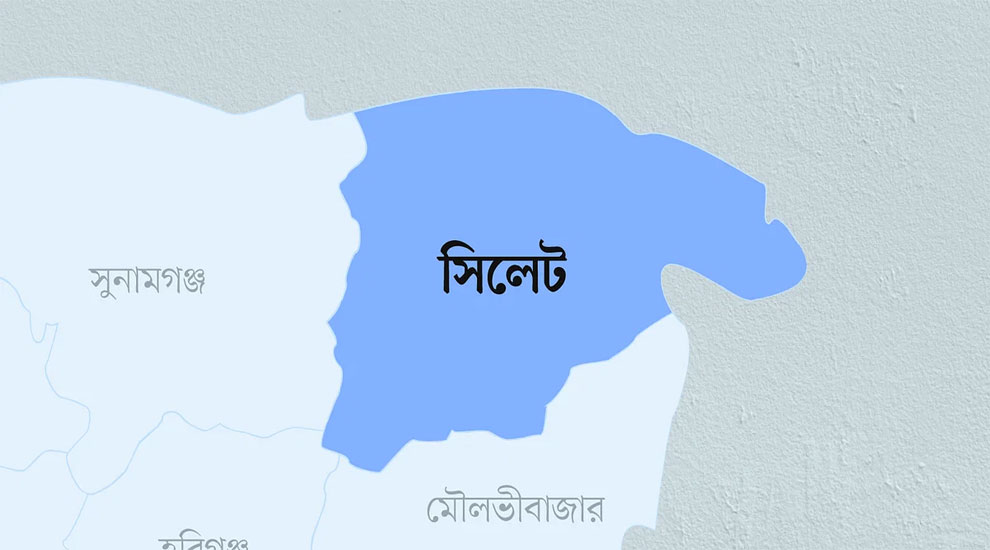 সিলেট বিস্তারিত বিদেশে স্থায়ী হওয়ার চেষ্টায় সিলেট আ.লীগের নেতারা