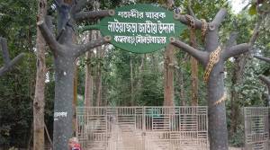 দখলে জর্জরিত লাউয়াছড়া জাতীয় উদ্যান