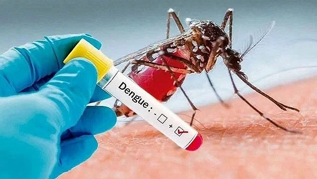 সিলেটের যে স্থানে ডেঙ্গুর প্রকোপ বেশী
