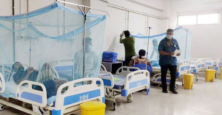 ডেঙ্গু কেড়ে নিলো আরও ৫ প্রাণ