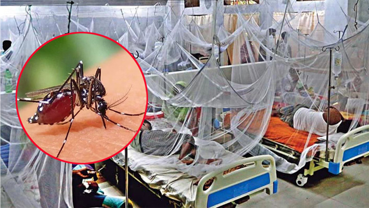 ২৪ ঘণ্টায় ডেঙ্গুতে ১০ জনের প্রাণহানি