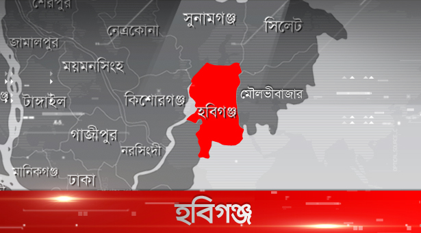 হবিগঞ্জে ছাত্র আন্দোলনে নিহত ৯ মরদেহ তোলার নির্দেশ