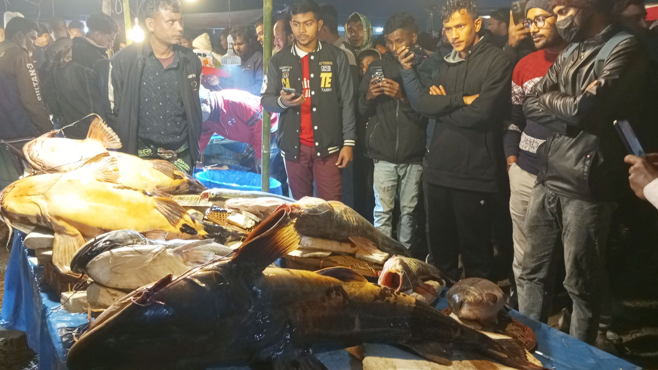 শেরপুরে ঐতিহ্যবাহী মাছের মেলায় ভীড়